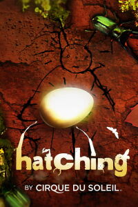 Circo del Sol: Hatching (2013)