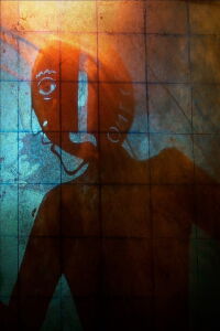 Cloacinae (2017)