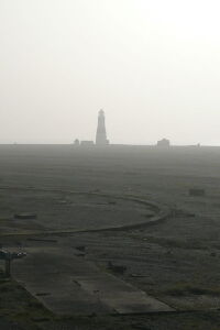 Cobra Mist (2008)