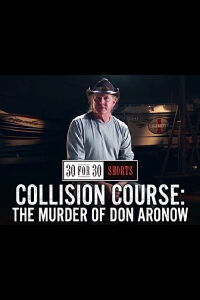 Collision Course: The Murder of Don Aronow (2013)