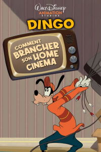 Comment installer votre cinéma maison (2007)