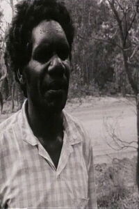 Conversations with Dundiwuy Wanambi (1995)