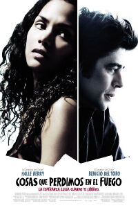 Cosas que perdimos en el fuego (2007)
