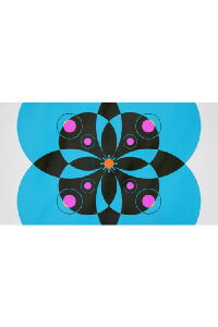 Cotinga (2017)