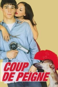 Coup de peigne (2001)
