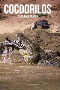 Crocodiles, the last dragon (2010)