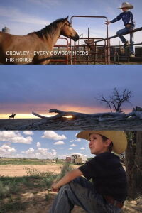 Crowley: Every Cowboy Needs His Horse (2016)