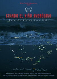 Cuando el niño andrógino (2020)