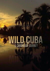 Cuba, révolution sauvage (2020)