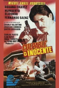Culpable o inocente (1993)