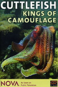 Cuttlefish: Kings of Camouflage (1997)