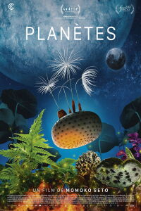 Dandelion's Odyssey (2026)