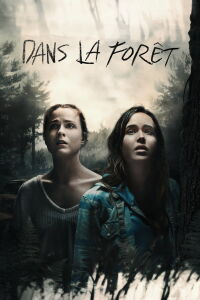 Dans la forêt (2016)