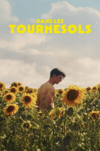 Dans les tournesols (2024)