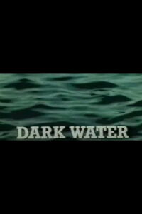 Dark Water (1980)