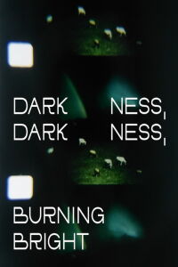 Darkness, Darkness, Burning Bright (2022)