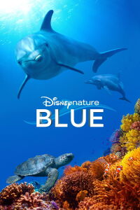 Dauphins (2018)