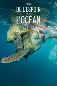 De l'espoir sous l'océan (2017)