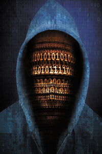 Déjouer les pirates informatiques (2013)