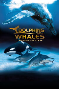 Delfines y ballenas - Tribus del océano (2008)