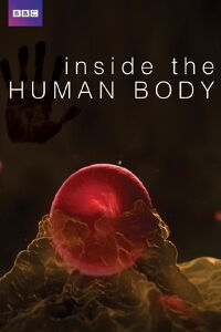 Dentro del Cuerpo Humano (2011)
