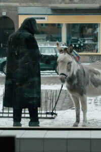 Der Fall (2013)