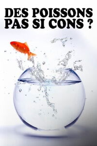 Des poissons, pas si cons ? (2022)