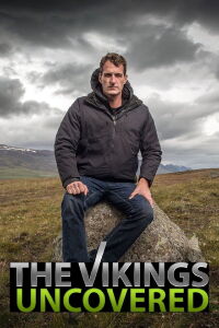 Descubriendo a los vikingos (2016)