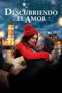 Descubriendo el amor (2019)