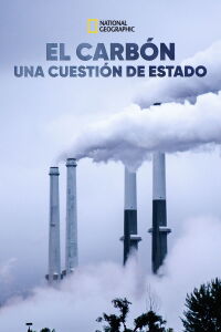 Desde las cenizas (2017)