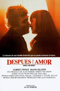 Después del amor (1982)