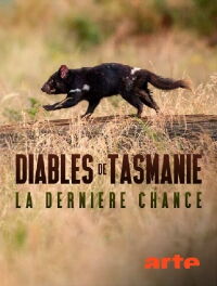 Diables de Tasmanie, la dernière chance (2023)