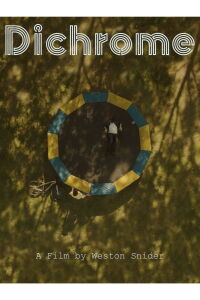Dichrome (2020)