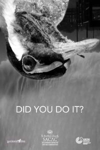 Did You Do It? (2020)