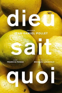 Dieu sait quoi (1994)