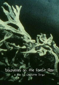 Discoveries on the Forest Floor 1-3 (2006)