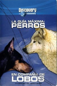 Discovery Channel - La Guia Maxima - Perros En Compañia De Lobos (1997)