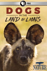 Dogs in the Land of Lions (2018)