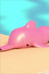 Dolphin Poem (2019)