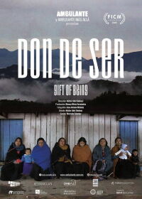 Don de ser (2015)
