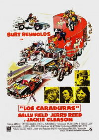 Dos pícaros con suerte (1977)