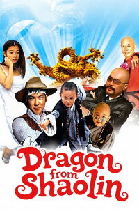 Dragon from Shaolin (1996)