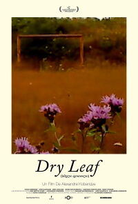 Dry Leaf (2026)