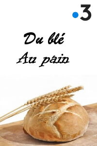 Du blé au pain (2024)