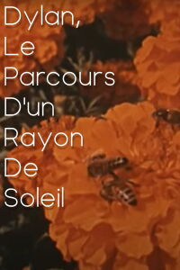 Dylan, le parcours d'un rayon de soleil (2023)