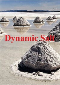 Dynamic Salt (2015)
