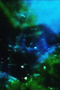 Earthen Aerie (1995)