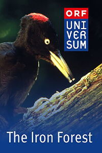 El Bosque de Hierro (1998)