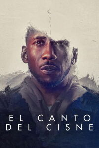 El canto del cisne (2021)