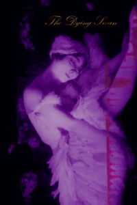 El cisne moribundo (1917)